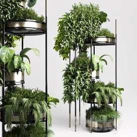 Collection indoor plant plant stairs stand metal vase